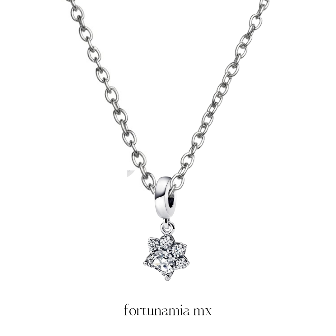 Pet Lover Silver Necklace